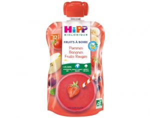 HIPP Gourdes Fruits à Boire - Dès 12 mois Pommes Bananes Fruits Rouges