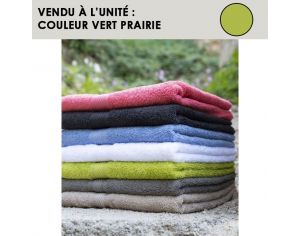 CENTEX Serviette Coton Eponge - Vert Prairie
