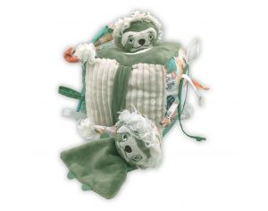 Balles, Cubes & Formes