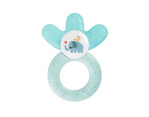 Anneaux de Dentition