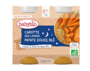 BABYBIO Petits Pots Bonne Nuit - 2x200g - Dès 6 mois Carotte des Landes, Patate Douce & Blé - 6 M