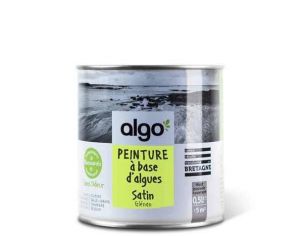ALGO PAINT Peinture Biosourcée Décorative Verte Finition Satin (Glénan)