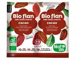 NAT-ALI Bio-Flan Non-Sucré - 2 x 5 g
