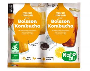 NAT-ALI Ferment pour Boisson Kombucha - 2 x 5 g