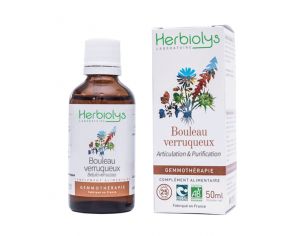 HERBIOLYS Bourgeons de Bouleau Verruqueux Bio - 50 ml
